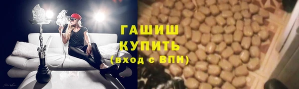 ПСИЛОЦИБИНОВЫЕ ГРИБЫ Заводоуковск